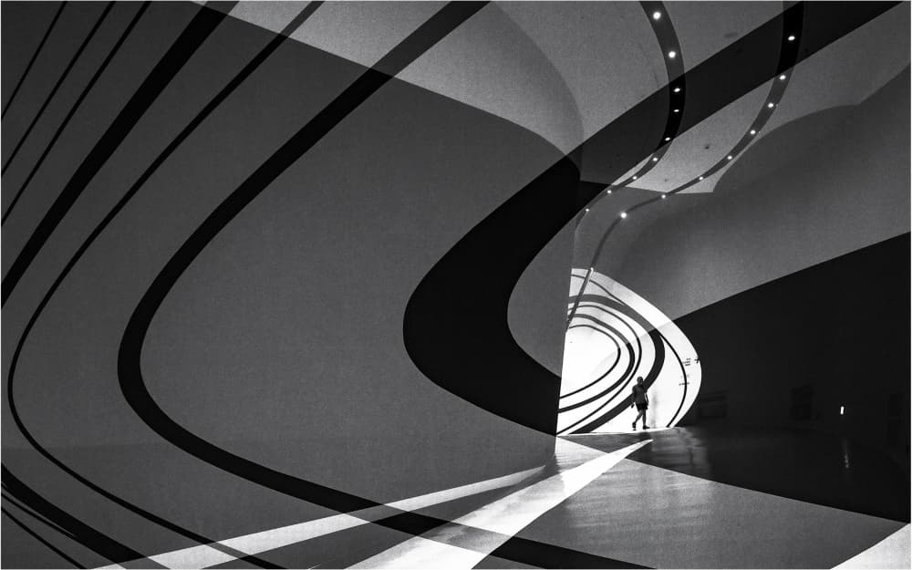Dynamic Curves Silhouette by Parole Kim — canvas wall art