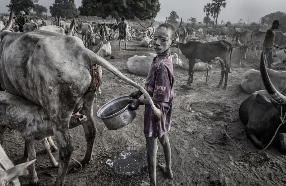 Dinka Boy Cattle Ritual by Joxe Inazio Kuesta Garmendia — canvas wall art