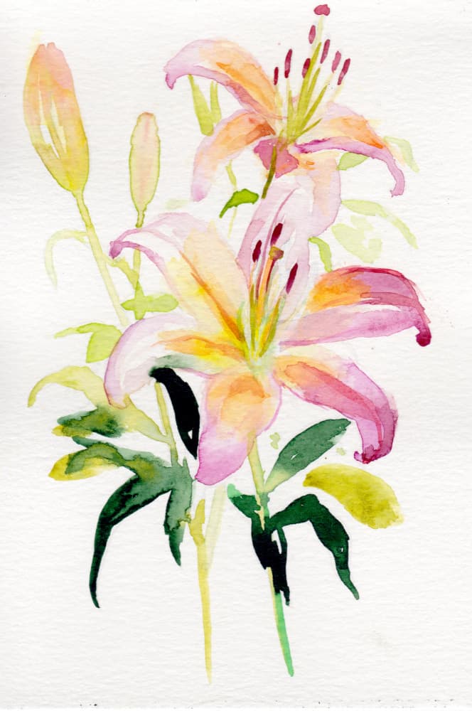 Pink Lilies Watercolor by Christine Lindstrom — canvas wall art