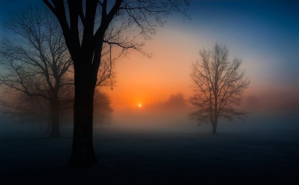 Misty Dawn Landscape by Wei (David) Dai — canvas wall art
