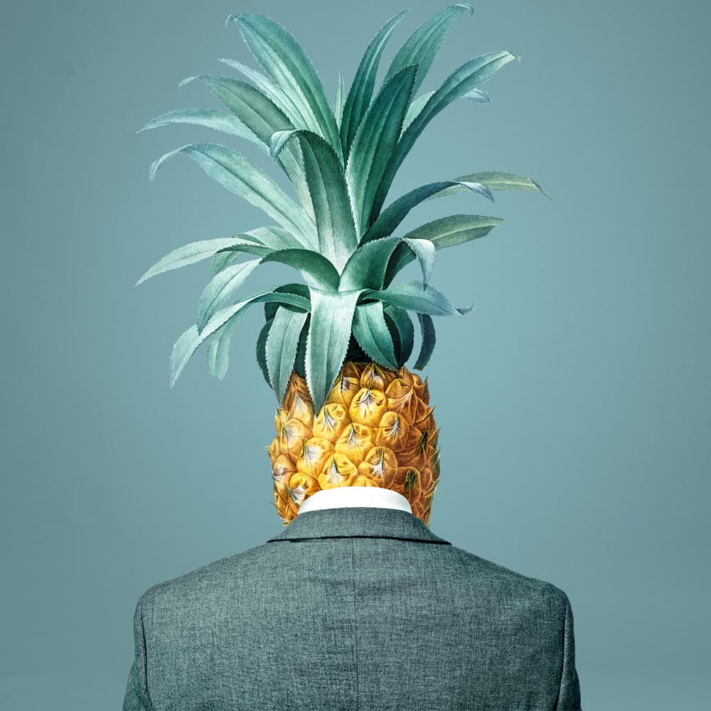 Man With Pineapple Head by Marja van den Hurk — canvas wall art