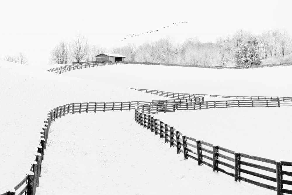Peaceful Winter Farm by Steven Zhou — canvas wall art
