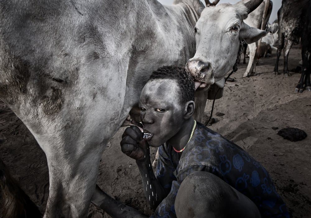 Rural African Milk Sharing by Joxe Inazio Kuesta Garmendia — canvas wall art