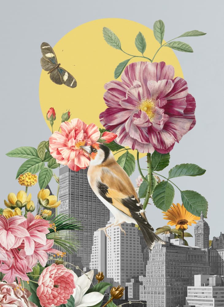 Urban Nature Blooms by Marja van den Hurk — canvas wall art