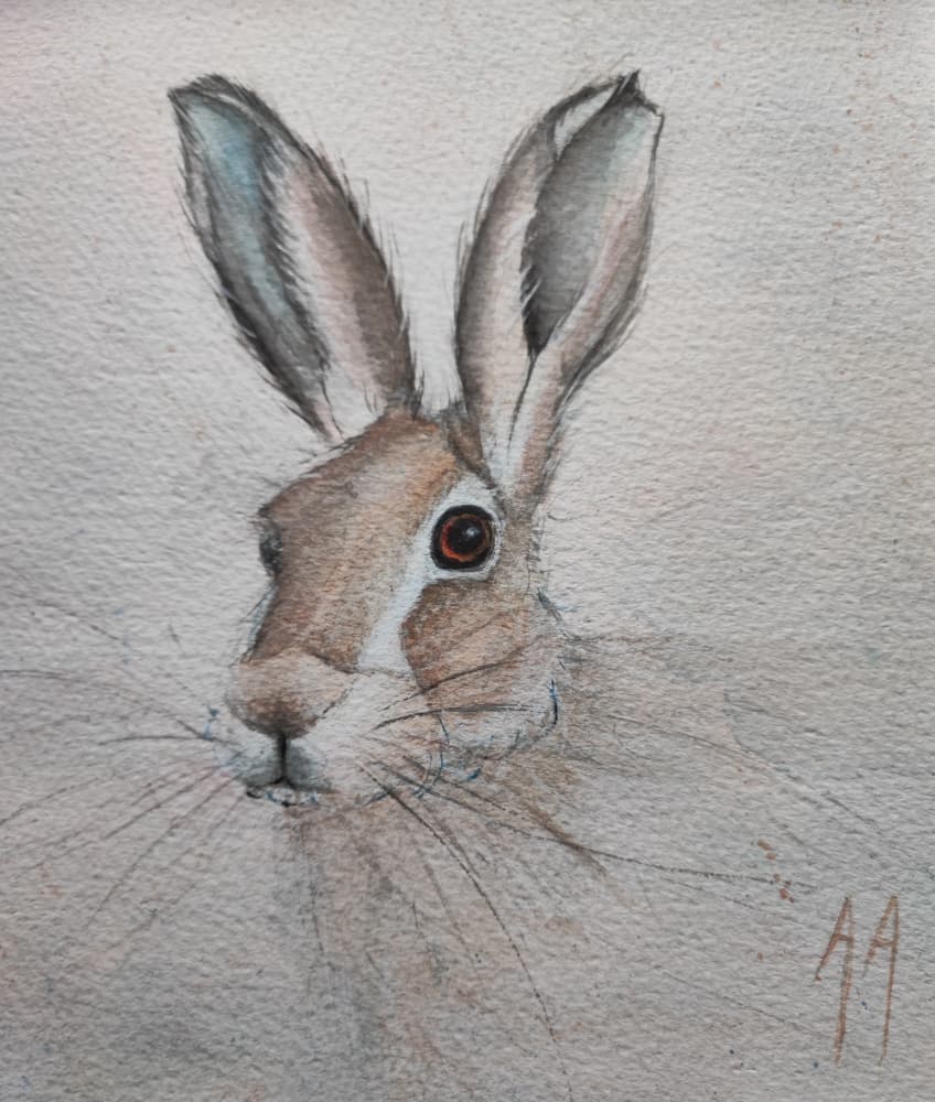 Gentle Hare Portrait by Annette Armitage — canvas wall art