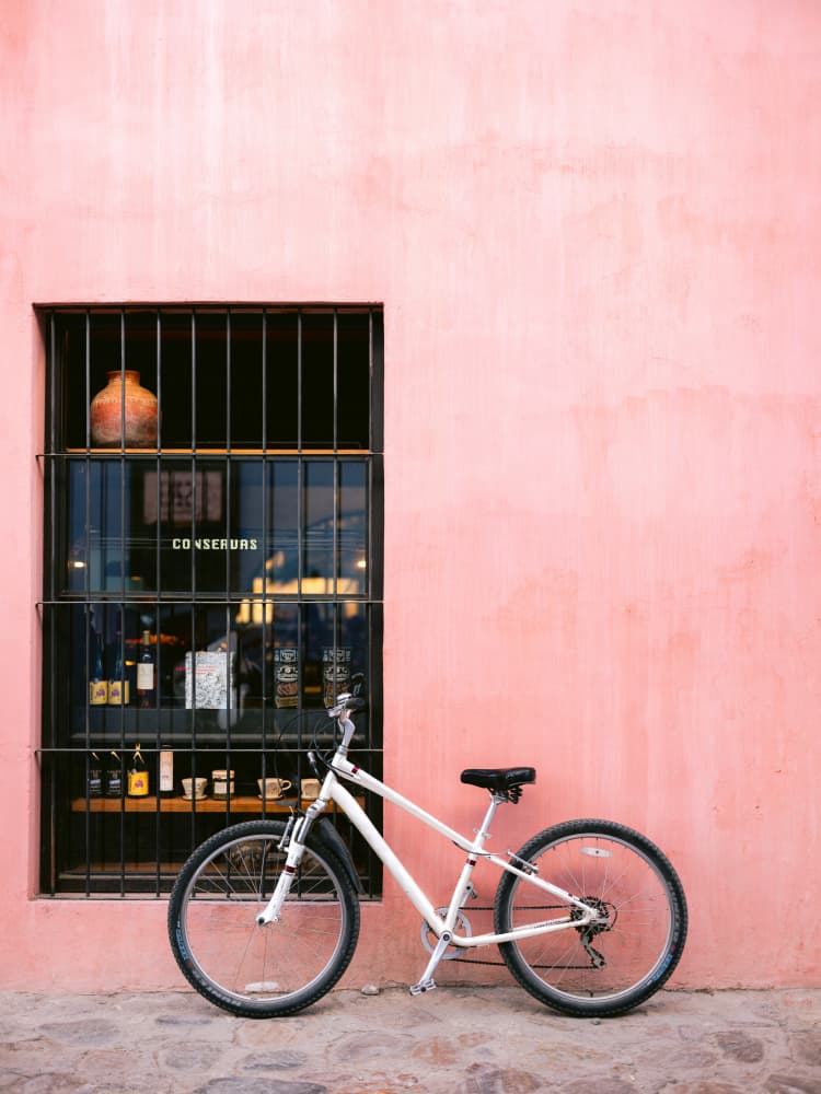 Pink Oaxaca Vibes | Mexico travel photography by Raisa Zwart — canvas wall art