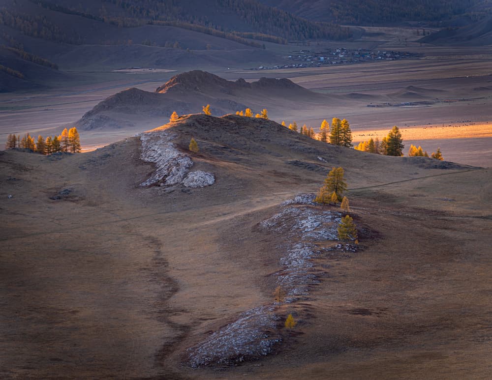 Golden Autumn Valley by Haim Rosenfeld — canvas wall art