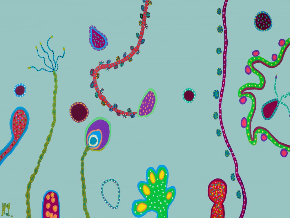 Colorful Organic Forms by Helen Joynson — canvas wall art