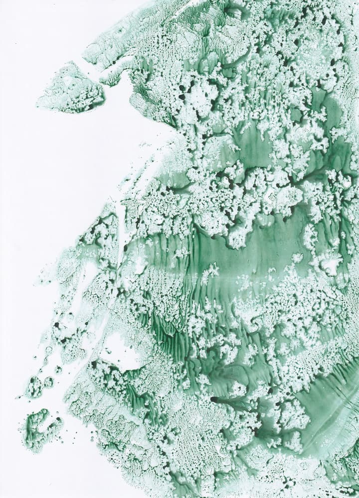Organic Green Texture by Maira Ribena — canvas wall art