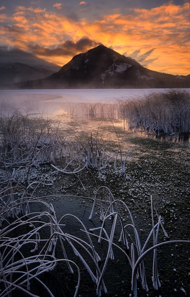 Winter Lake Golden Dawn by Lydia Jacobs — canvas wall art