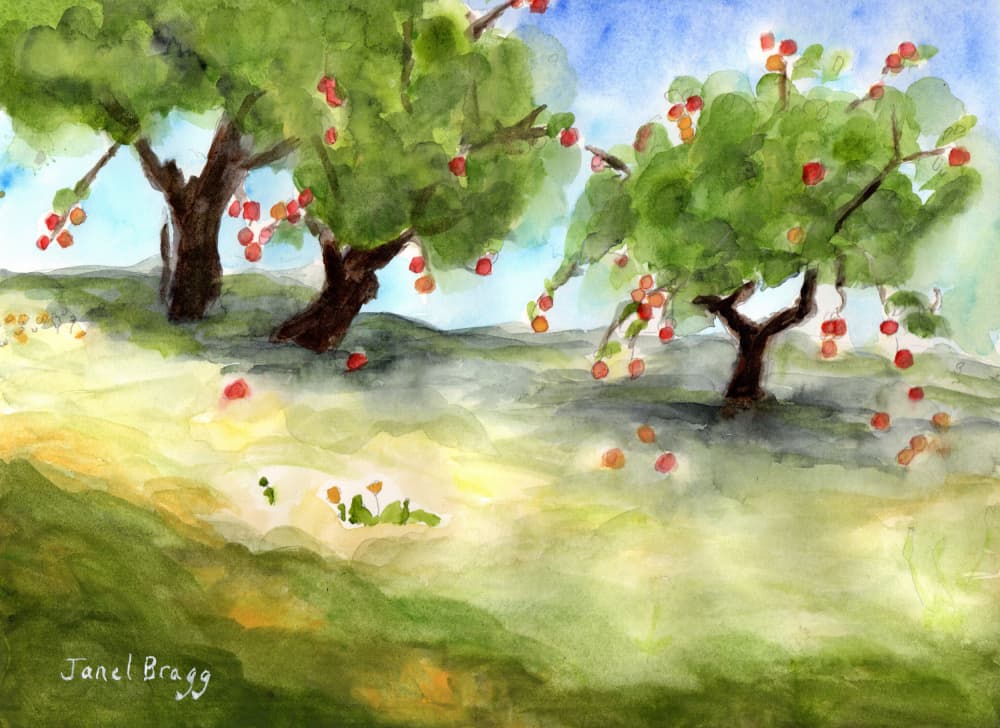 Sunny Apple Orchard by Janel Bragg — canvas wall art