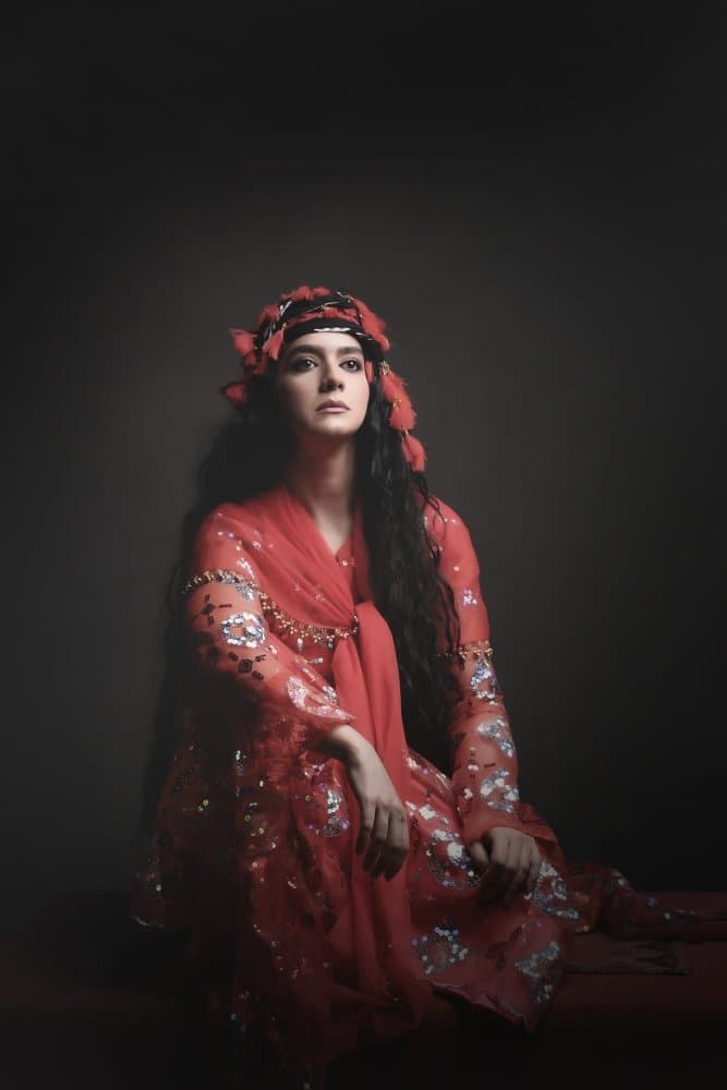 Regal Woman In Red by Moein Hasheminasab — canvas wall art