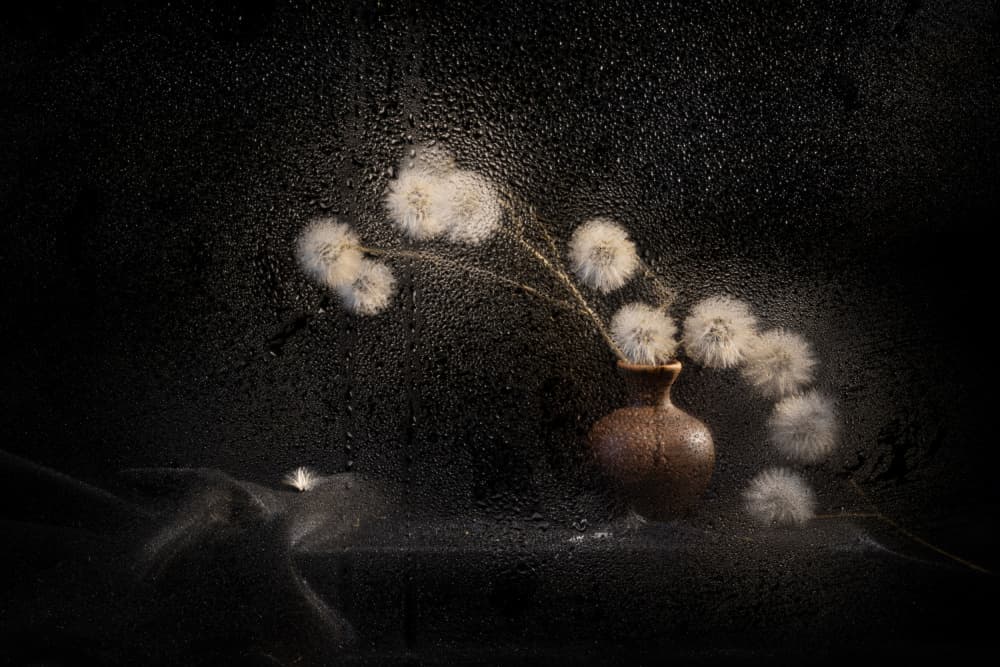 Moody Dandelion Still Life by Igor Kopcev — canvas wall art