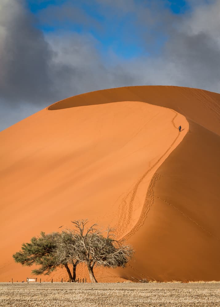 Desert Dune Ascent by Marco Tagliarino — canvas wall art