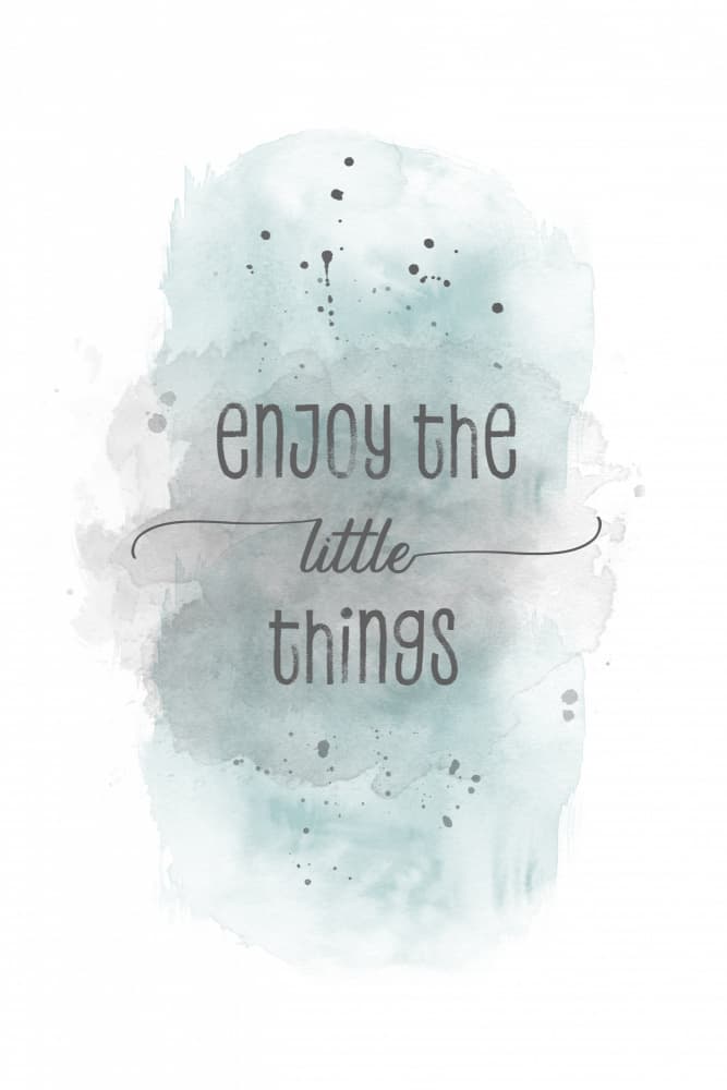 Enjoy The Little Things by Melanie Viola — canvas wall art