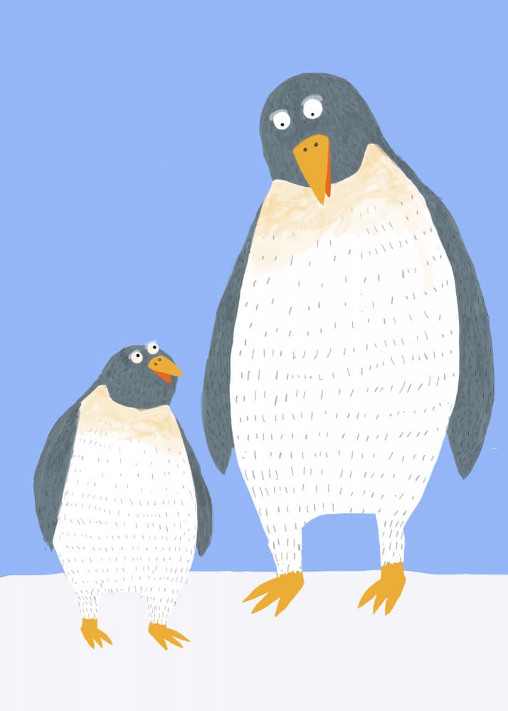 Curious Penguin Pair by Carla Daly — canvas wall art
