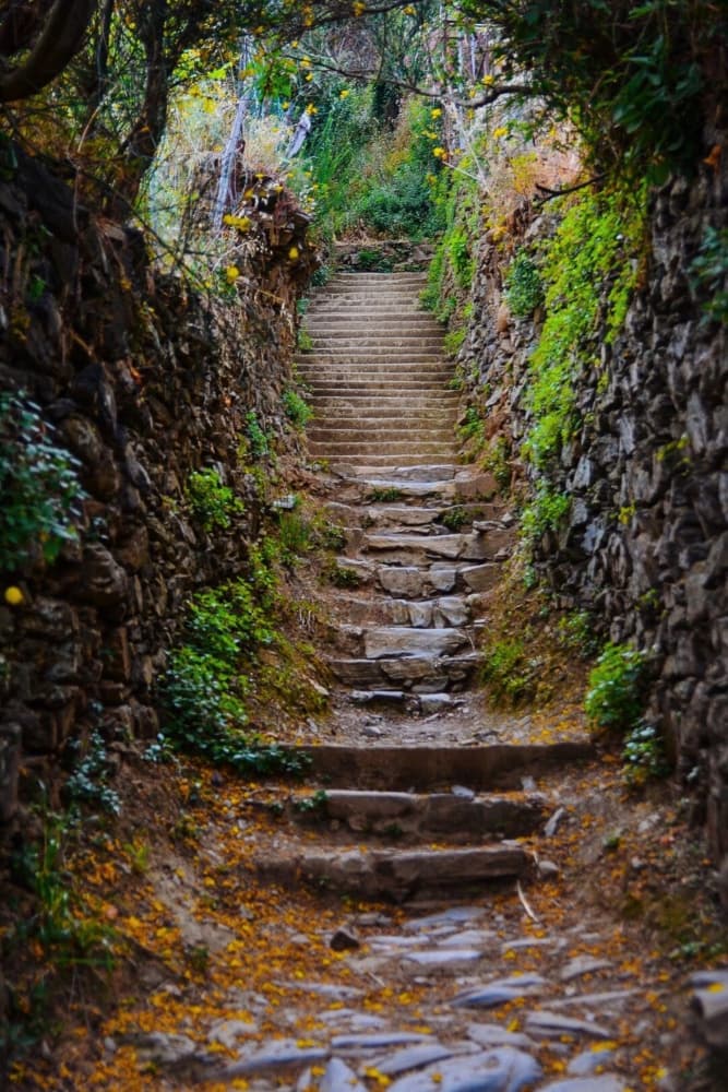 Ancient Stone Path by Del Mundo Imagery — canvas wall art