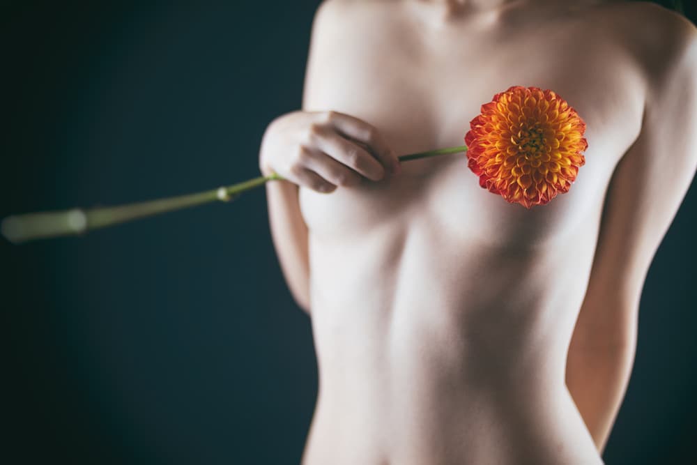 Delicate Dahlia Bloom by Daisuke Kiyota — canvas wall art
