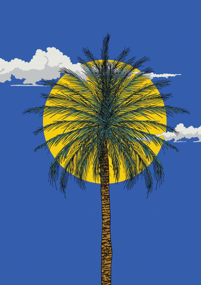 Sunny Palm Tree by Nicholas — canvas wall art