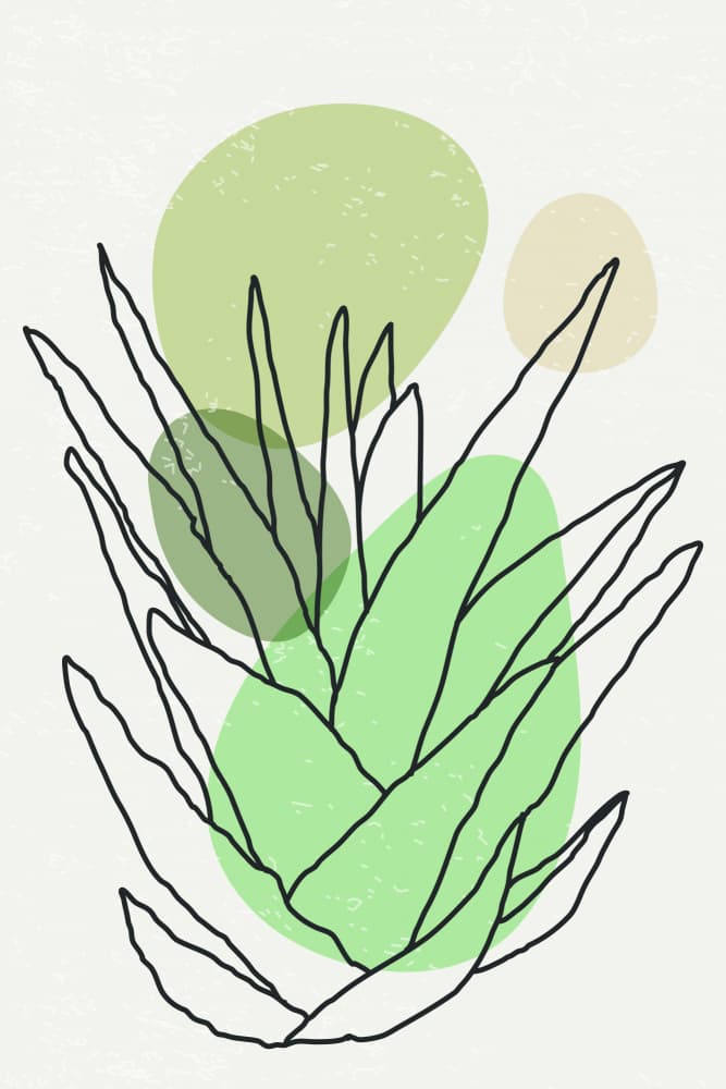 Minimalist Green Plant by jay stanley — canvas wall art