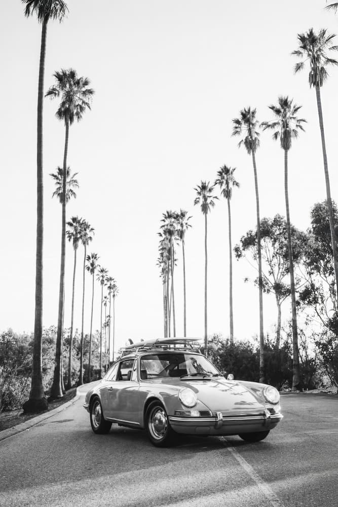 Posh In California by Kathrin Pienaar — canvas wall art
