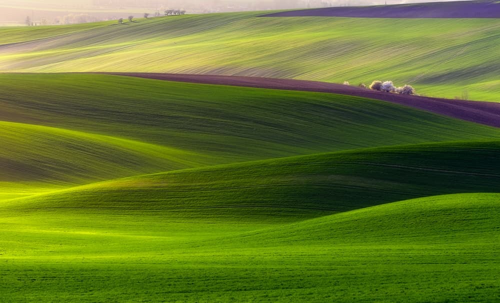 Green Rolling Hills by Piotr Krol (Bax) — canvas wall art