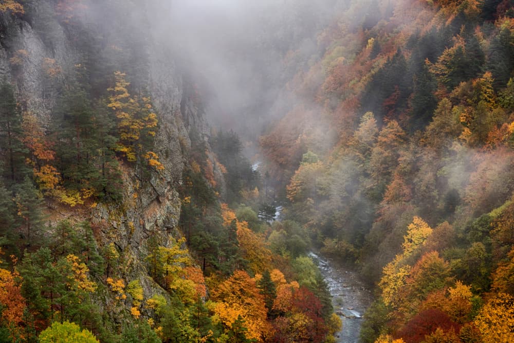 Misty Autumn Canyon River by Paolo Bolla — canvas wall art