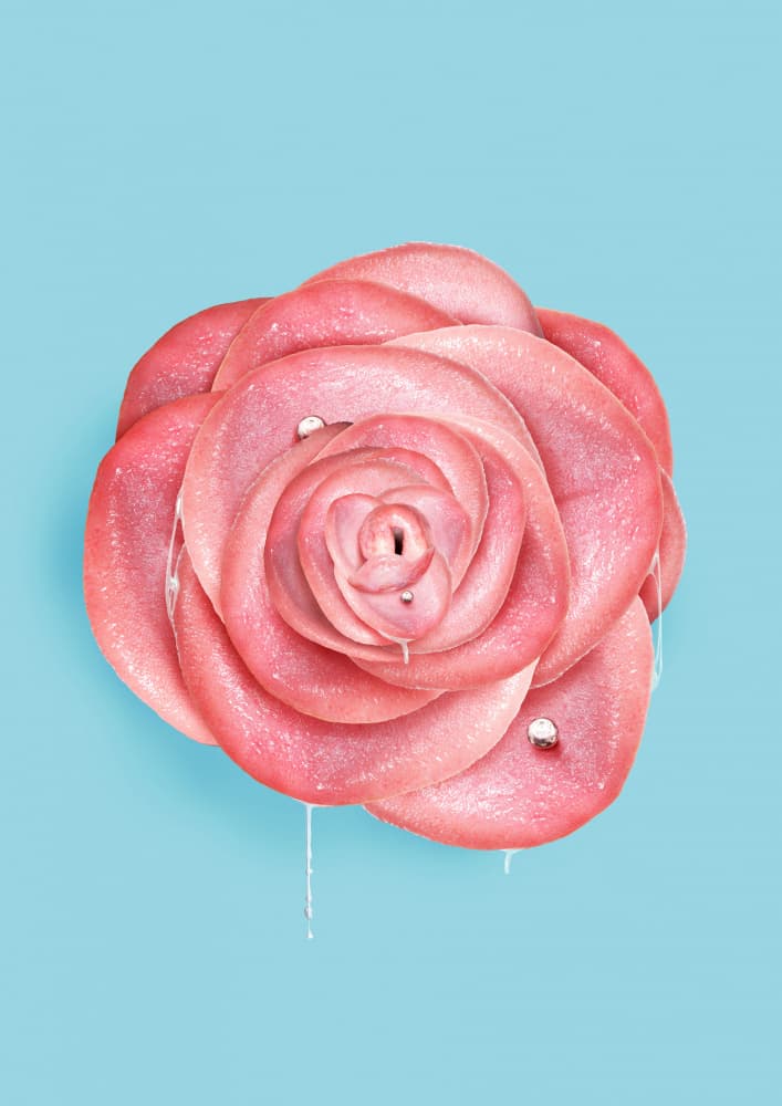 Glossy Pink Rose by Artem Pozdniakov — canvas wall art