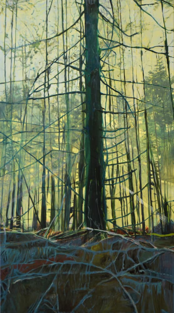Ethereal Forest Light by Karin Bos — canvas wall art