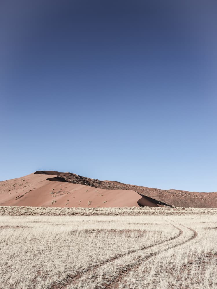 Desert Serenity by Shot by Clint — canvas wall art