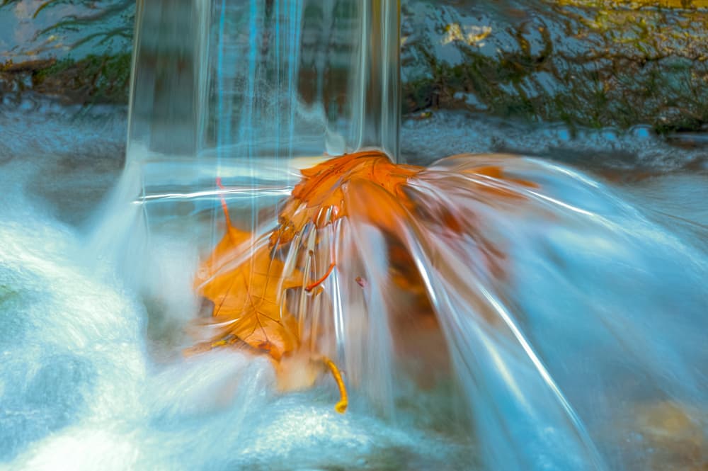 Golden Leaf Cascade by Ina Bouhuijzen — canvas wall art