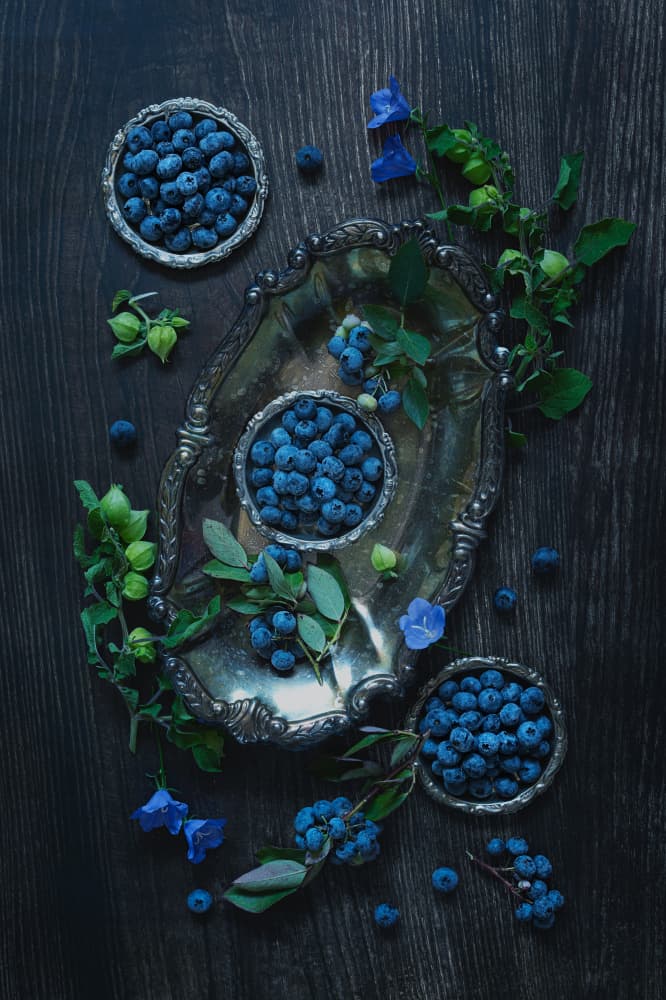 Blueberries on Silver by Lydia Jacobs — canvas wall art