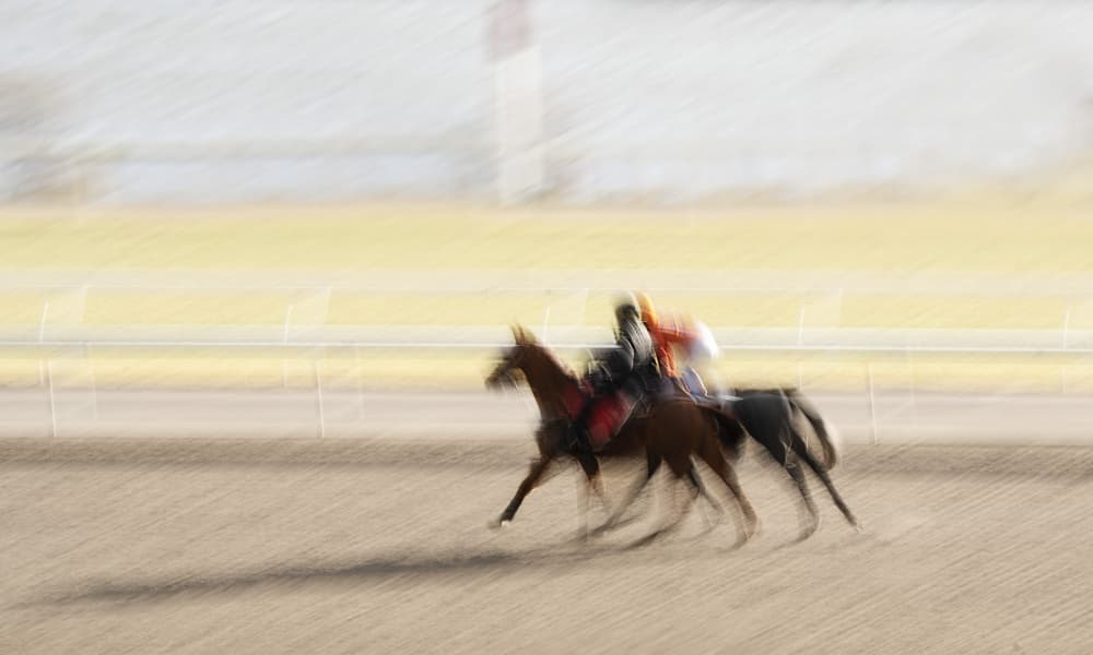 Galloping Racehorses by Emma Zhao — canvas wall art