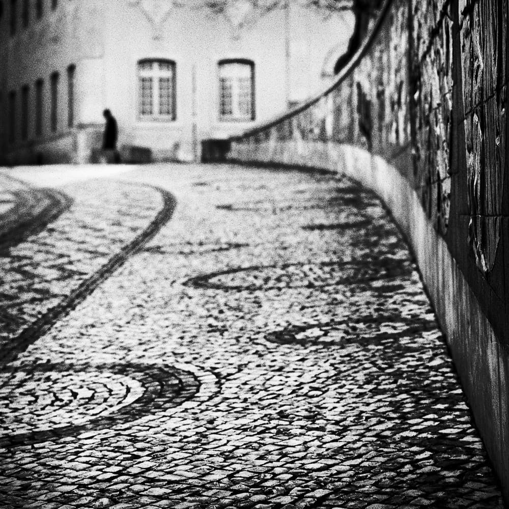 Winding Cobblestone Lane by Paulo Abrantes — canvas wall art