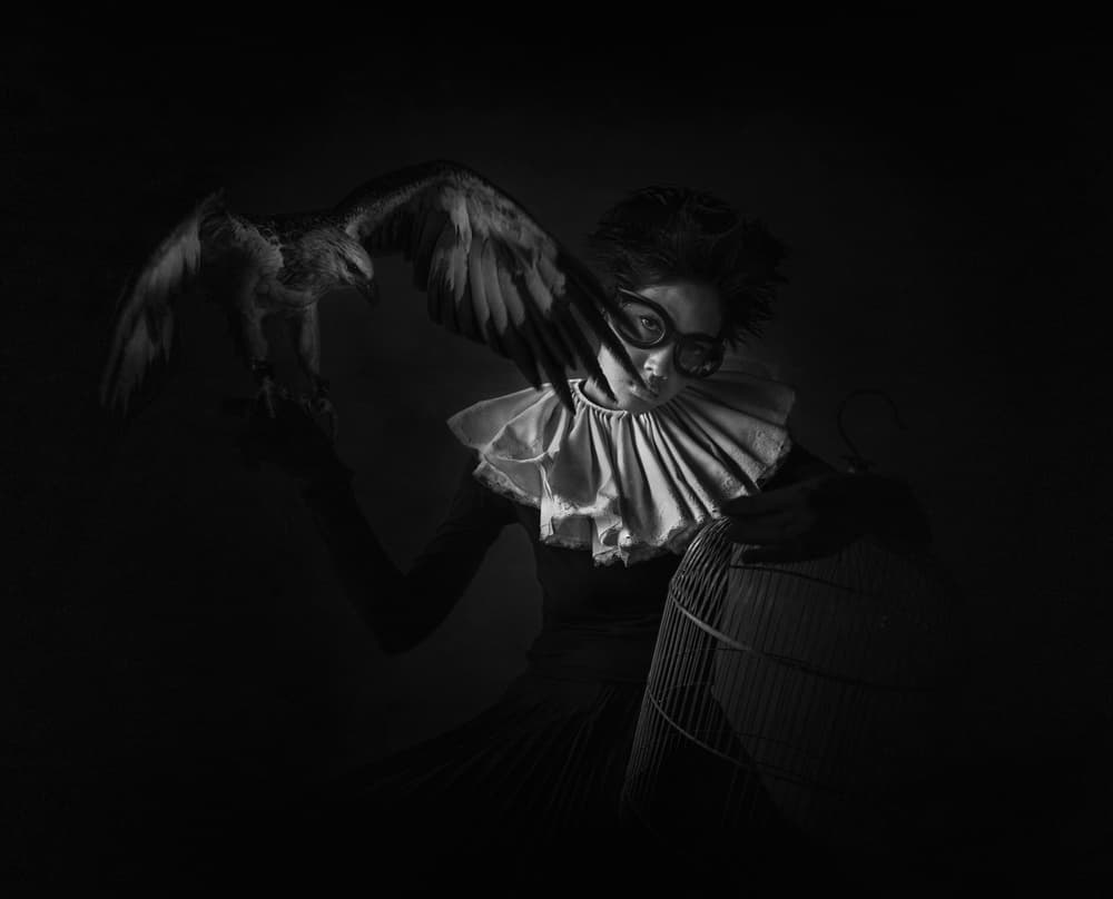 Mysterious Woman With Eagle by hardibudi — canvas wall art