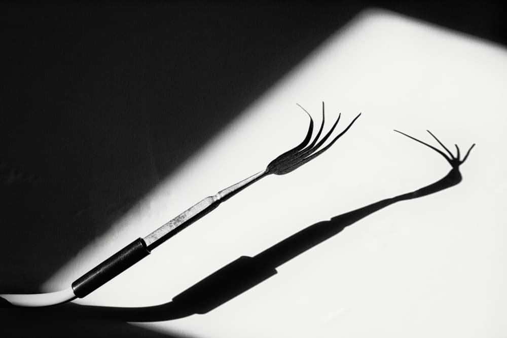 Dramatic Fork Shadow by Olavo Azevedo — canvas wall art