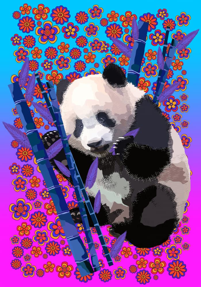Pandas and Bloom by Lynnda Rakos — canvas wall art