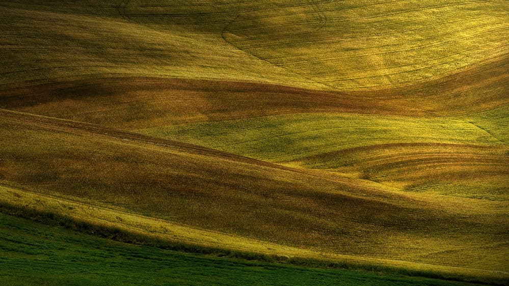 Rolling Golden Fields by Claudio Moretti — canvas wall art