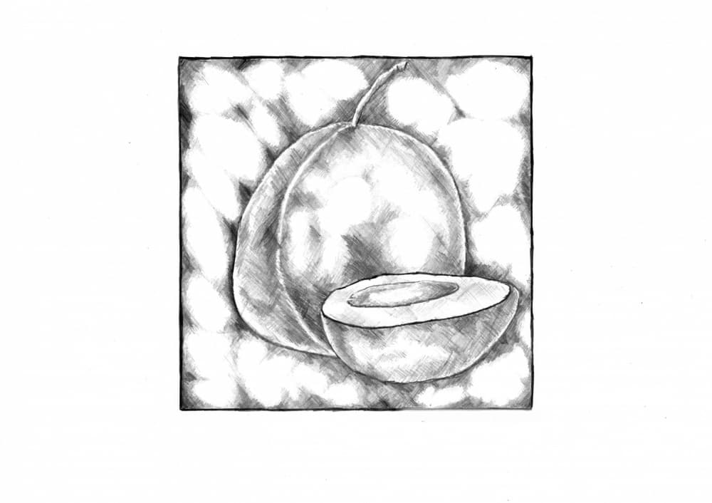 Tropical Guava Sketch by Kulik — canvas wall art