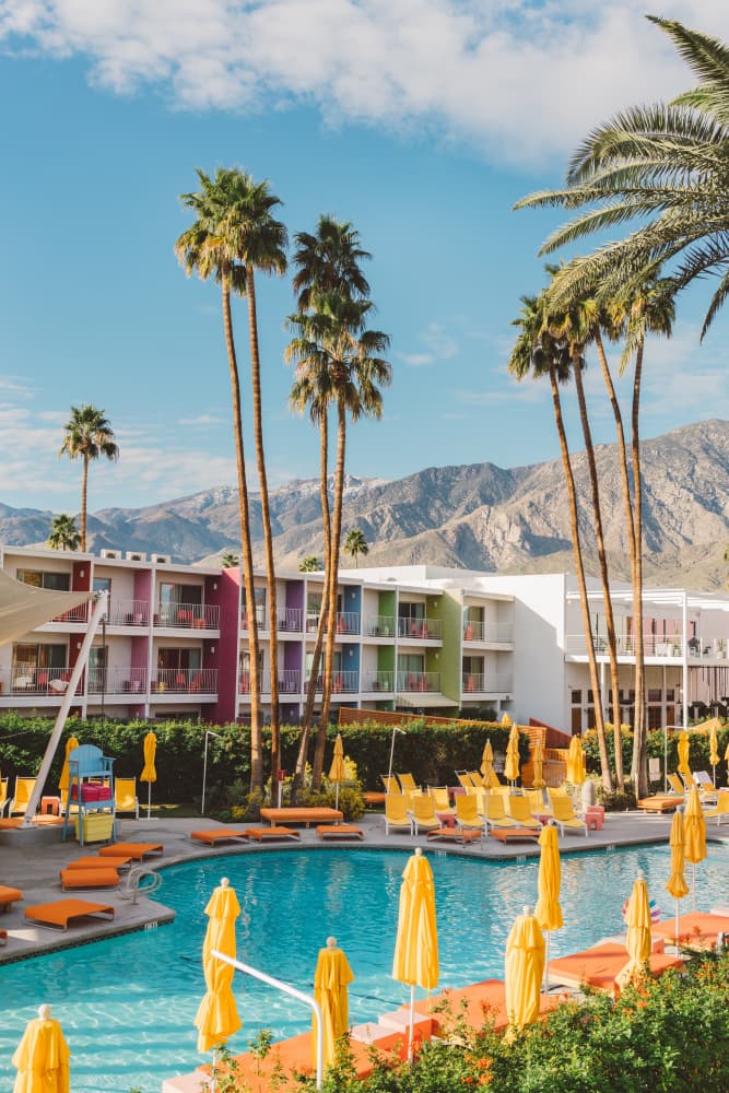 Colorful Desert Oasis