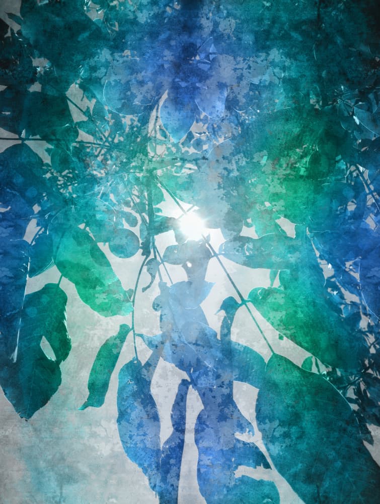 Ethereal Blue Green Leaves by Angelo Cerantola — canvas wall art