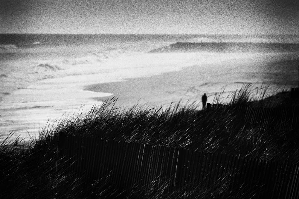 Ocean Dune Solitude by Paulo Abrantes — canvas wall art
