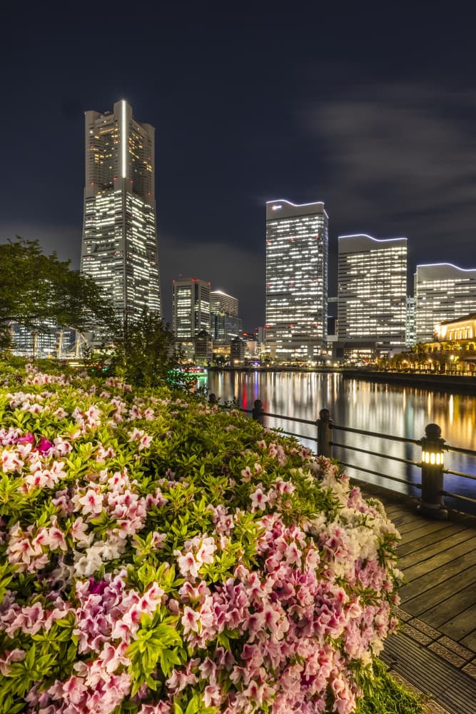 Picturesque Yokohama skyline at night by Melanie Viola — canvas wall art