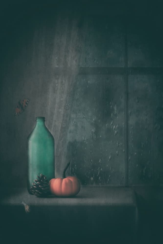 Rainy Autumn Still Life by Delphine Devos — canvas wall art
