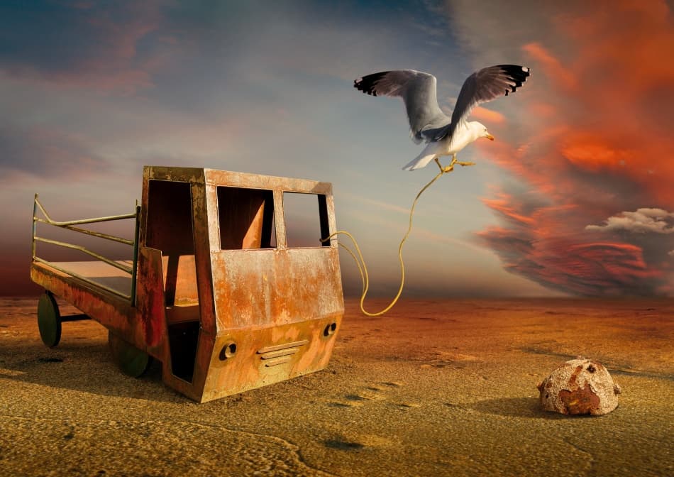 Seagull Pulling Rusty Truck by Radoslav Penchev — canvas wall art