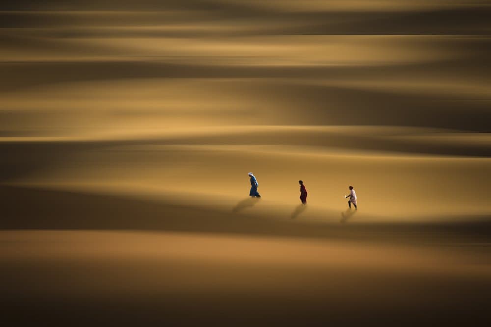 Golden Desert Journey by Clas Gustafson PRO — canvas wall art