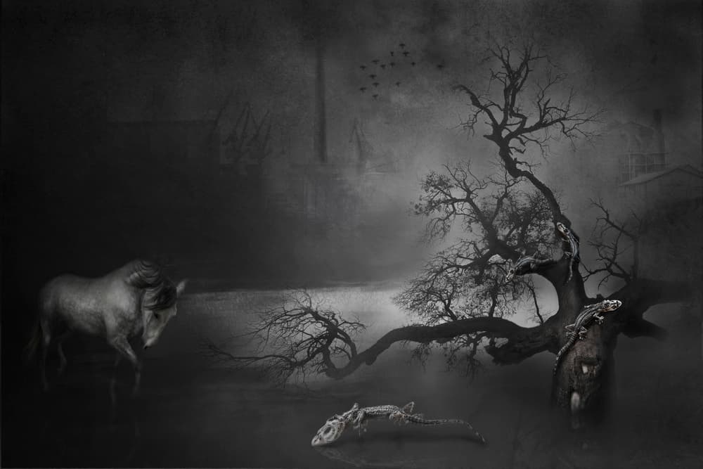 Dark Horse Haunting Landscape by Martine Benezech — canvas wall art