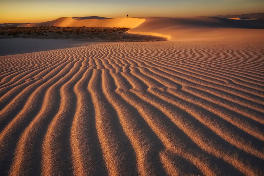 Golden Desert Ripples by Lydia Jacobs — canvas wall art