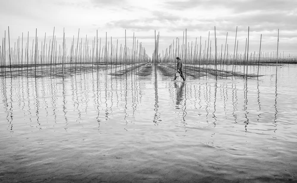 Sea Farm Reflections by Haruyo Sakamoto — canvas wall art