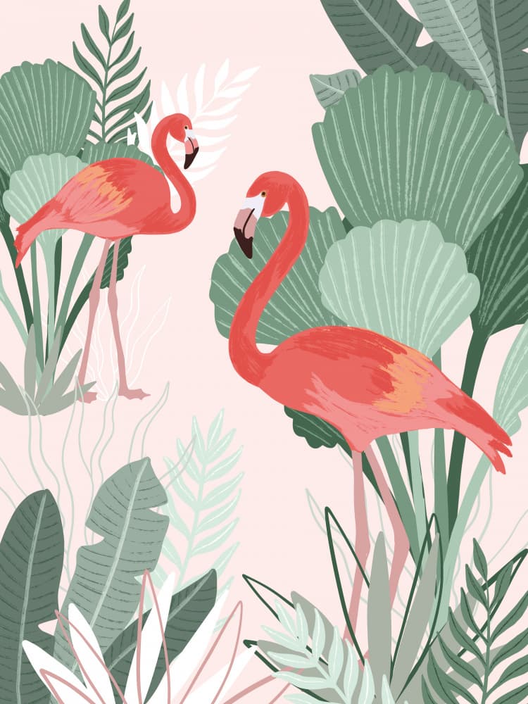 Flamingo Dreams by Goed Blauw — canvas wall art